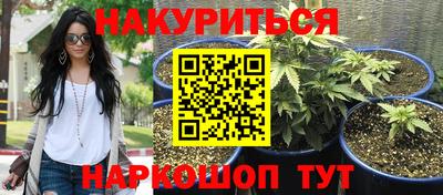 гашик Краснодар
