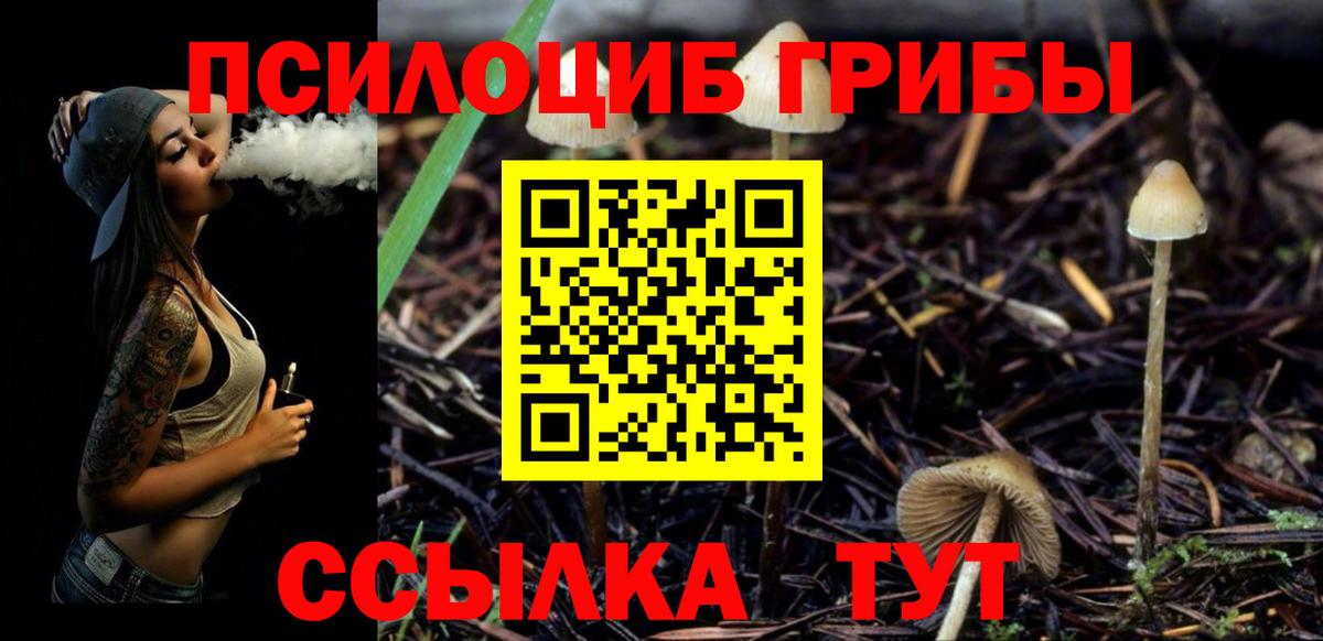 Якутск  Псилоцибиновые грибы Psilocybe  наркотики  Галлюциногенные грибы мицелий  Вход с VPN 